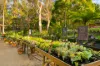 140 Bangalow Road, Byron Bay, NSW 2481-Image