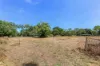 140 Callistemon Road, Howard Springs, NT 0835-Image