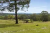 140 Harding Road, Macclesfield, Vic 3782-Image