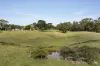140 Harding Road, Macclesfield, Vic 3782-Image