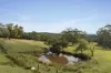 140 Harding Road, Macclesfield, Vic 3782-Image