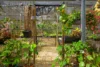 140 Horton Road, Chatsworth QLD 4570-Image