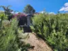 140 Thelma St, Como, WA 6152-Image