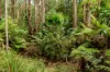 1400 Nowra Road, Fitzroy Falls, NSW 2577-Image