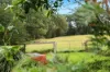 1400 Nowra Road, Fitzroy Falls, NSW 2577-Image