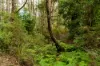1400 Nowra Road, Fitzroy Falls, NSW 2577-Image