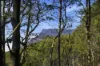 1402 Bogan Road, Golden Valley, Tas 7304-Image