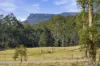 1402 Bogan Road, Golden Valley, Tas 7304-Image