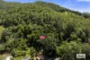 1402 Numinbah Road, Chillingham, NSW 2484-Image