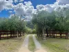 1403 Duncans Creek Rd, Duncans Creek, NSW 2340-Image