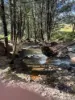 1403 Duncans Creek Rd, Duncans Creek, NSW 2340-Image