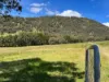 1403 Duncans Creek Rd, Duncans Creek, NSW 2340-Image
