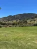 1403 Duncans Creek Rd, Duncans Creek, NSW 2340-Image