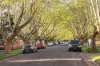 1405 High Street, Glen Iris, Vic 3146-Image