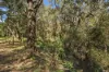 141 Clifton Street, Kelmscott, WA 6111-Image