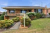 141 Denison Street, West Tamworth, NSW 2340