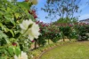 141 Denison Street, West Tamworth, NSW 2340-Image