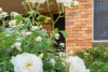 141 Denison Street, West Tamworth, NSW 2340-Image