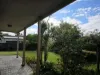 141 George Street, Paradise, SA 5075-Image