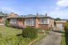 141 George Street, Scottsdale, Tas 7260