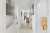 141 Mortimer Road, Monash, SA 5342-Image
