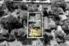 141 Old Eltham Road, Lower Plenty, Vic 3093-Image