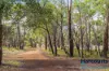 141 Powderbark Road, Lower Chittering, WA 6084-Image