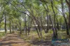 141 Powderbark Road, Lower Chittering, WA 6084-Image