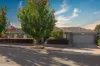 141 Rob Riley Circuit, Bonner, ACT 2914