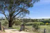 141 Rochford Road, Wallaroo, NSW 2618-Image