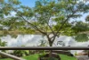 141 Tweed Valley Way, South Murwillumbah, NSW 2484-Image