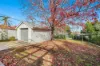 141 Upper Street, Tamworth, NSW 2340-Image