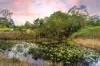 1414 Cooroy Belli Creek Road, Ridgewood, Qld 4563-Image