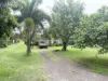 142 Broad Street, Sarina, Qld 4737-Image