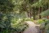 142 Coorabell Road, Federal, NSW 2480-Image