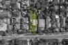 142 Dorset Road, Croydon, Vic 3136-Image