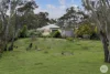 142 Eads Road, Evansford, Vic 3371-Image