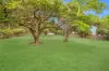 142 Mudjimba Beach Road, Mudjimba, Qld 4564-Image