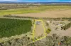 142 Raines Road, Sharon, Qld 4670-Image