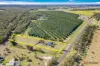 142 Raines Road, Sharon, Qld 4670-Image