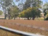 1421 Ipswich-Boonah Road, Peak Crossing, Qld 4306-Image