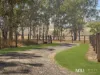 1421 Ipswich-Boonah Road, Peak Crossing, Qld 4306-Image