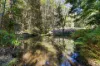 143 Dales Road, Chevallum QLD 4555-Image