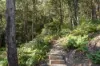 143 Mccarrs Creek Road, Church Point NSW 2105-Image