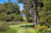 143 Patonga Creek, Patonga, NSW 2256-Image