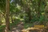 143 Patonga Creek, Patonga, NSW 2256-Image