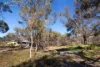 143 Walkers Lane, Sandon, Vic 3462-Image