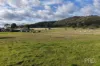 144 Deeks Road, Werris Creek, NSW 2341-Image