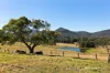 144 Gills Lane, Brunkerville, NSW 2323-Image