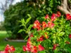 144 Goldie Street, Wynyard, Tas 7325-Image